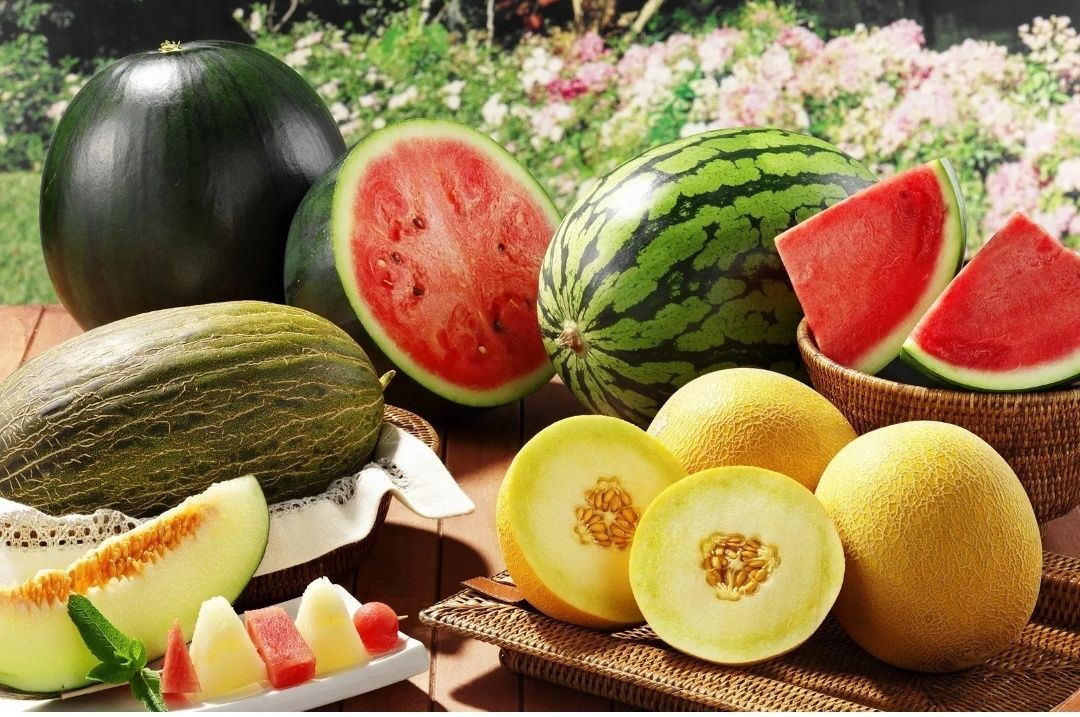 ���������� � �������: ������������ ��������-��������