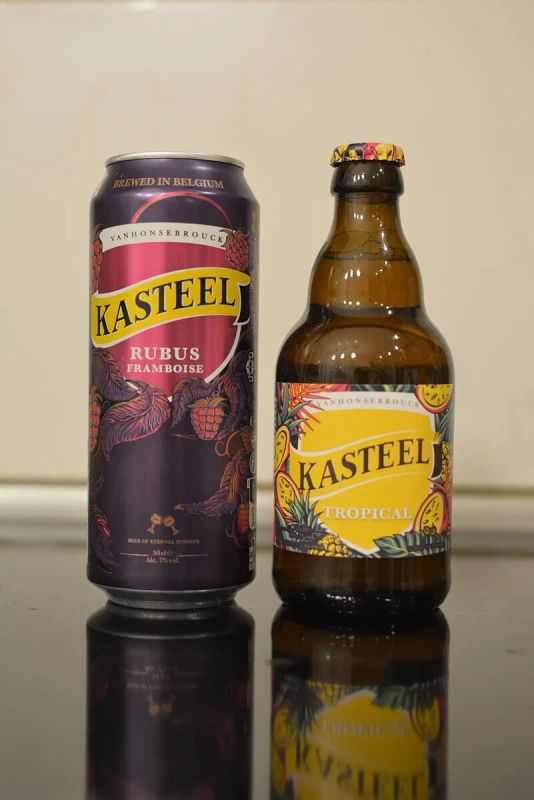 ������� ������������ ����������� ���������: ��������� ���� Kasteel