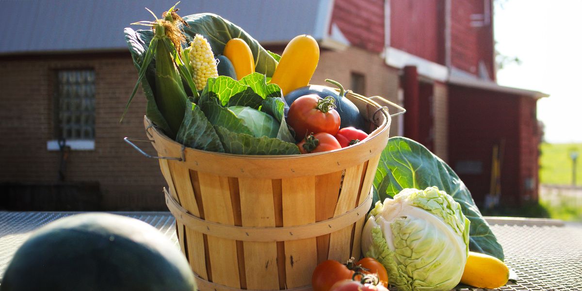 ���������� ��������: ����� �� ������� ������ �� �������������?