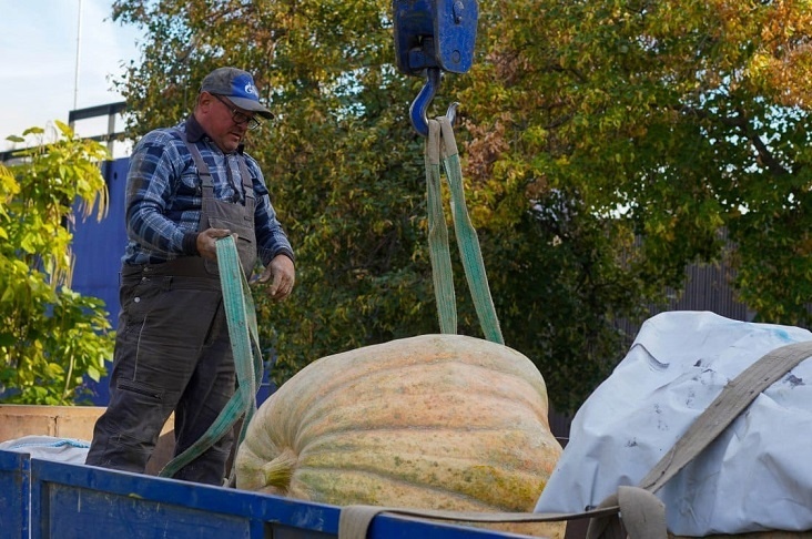 Гигантская тыква в ЦПКиО: подарок от волгоградского фермера