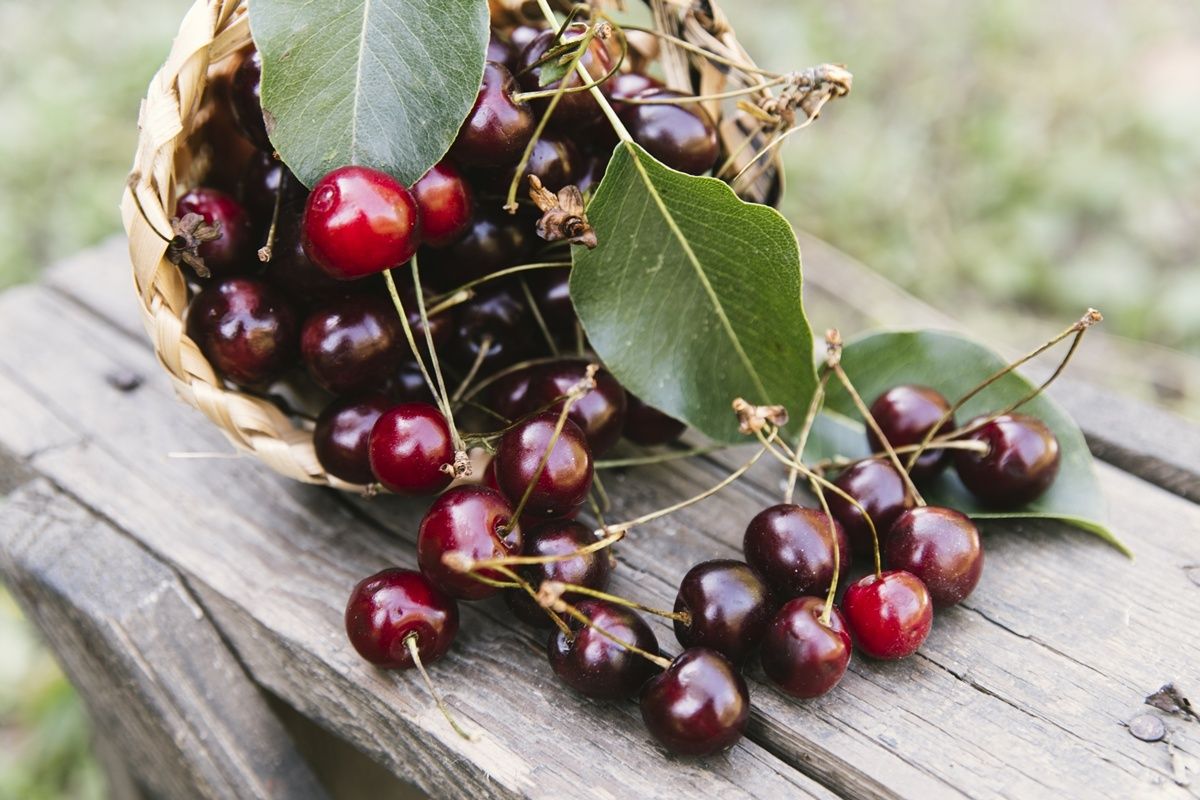 ����� ������ �������: ����� ����� �������� ��� ��������?