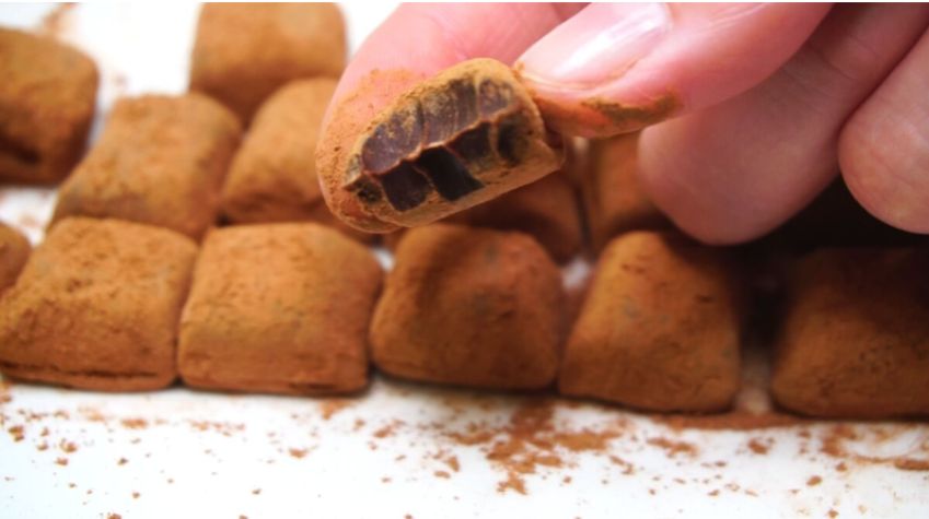 ������ � ������� �������� �������: ������, ������ � ������� ����������