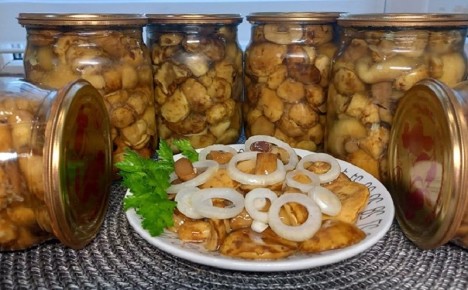 Ферментированные грибы: удивительная закуска с неповторимым вкусом