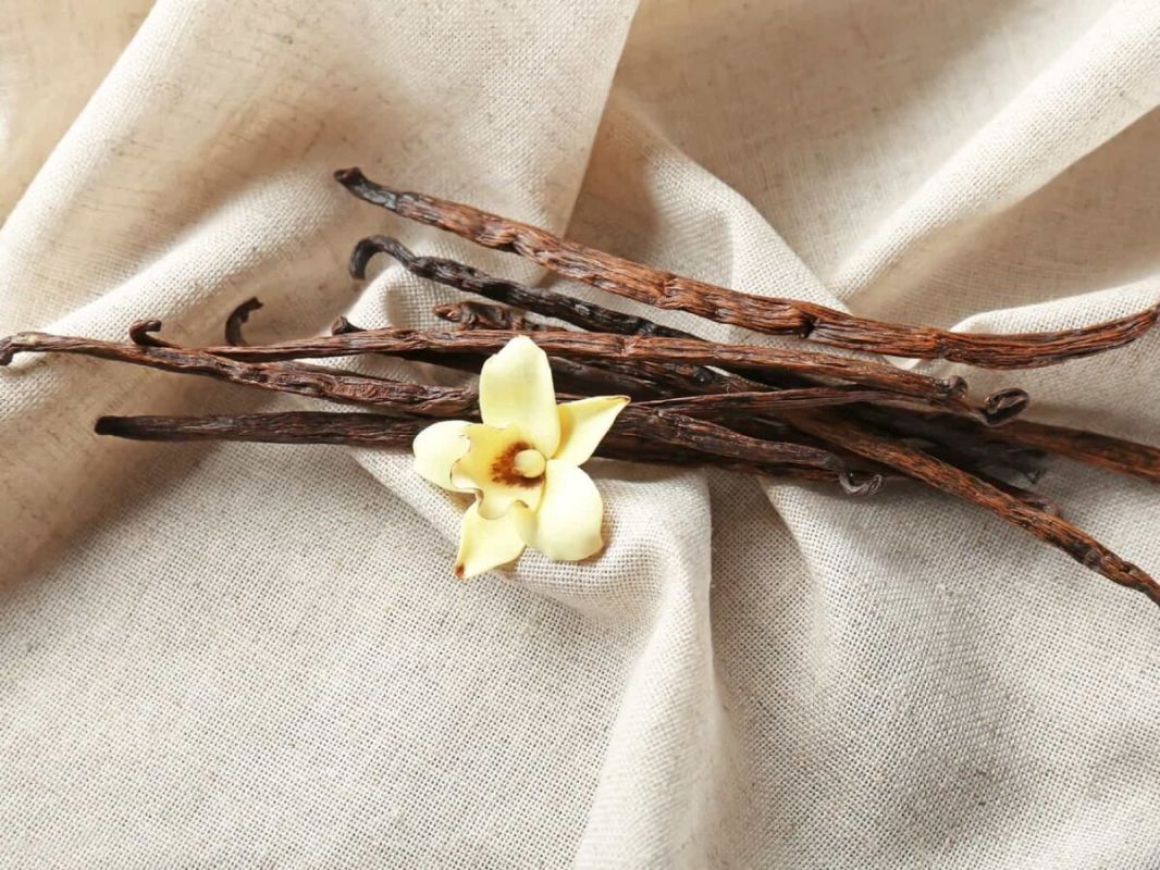 ������: �������, ���������� ����� � ����� �� �������� ����������?