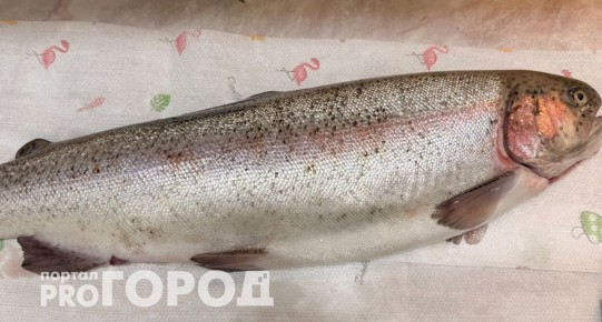 ��������������� ������ ������ ���� � ������� �� �������