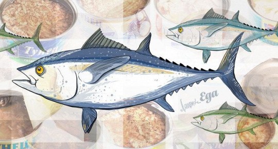 ������� ����������������� �����: ��� ���������� �� ��������� �����