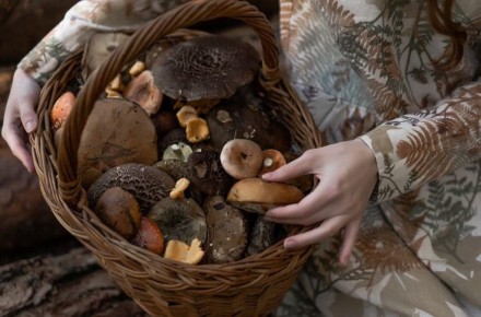 ������� ���������, ��� �� ����� �������� �������