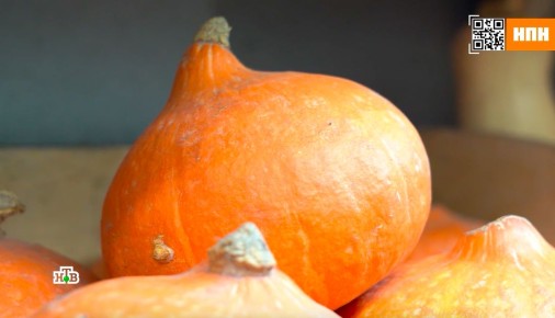 �����: ������� ������ � ������������� ��� ��������� ��������