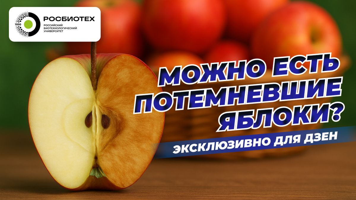 ���������� ������: ��������� ��� ������ ��������?
