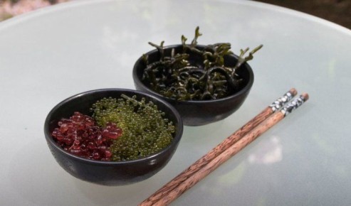 ������� ���������: ��� ��� ����� �������� ���� ��������