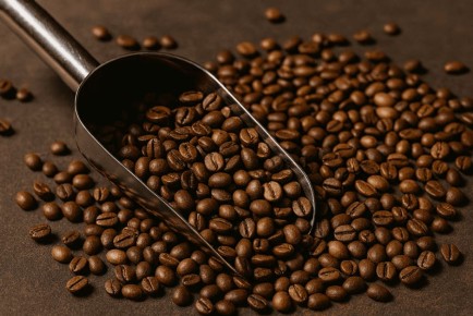 ��� ���������� ������ ����: 5 ������� ������, ������� ����� �����