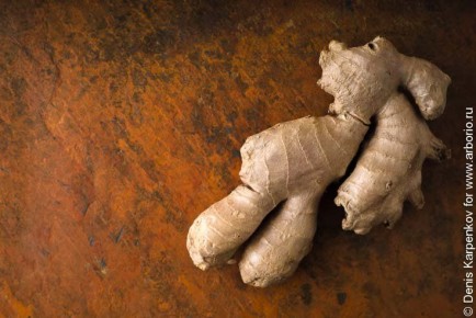 ������: �������� ������ � ������������ �������� � ��������� ����������