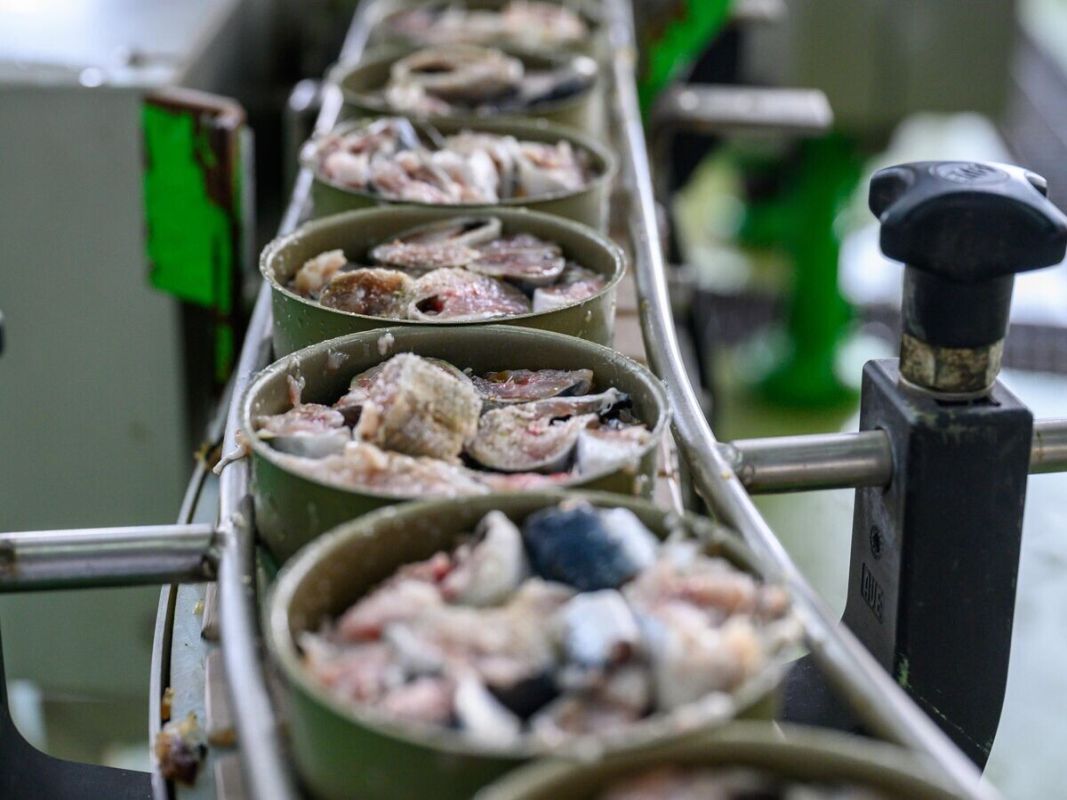 Продукты под контролем: свежие результаты проверки консервов с сардинами