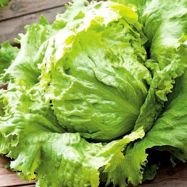 Салат Тарзан: вкусный любимец огородников